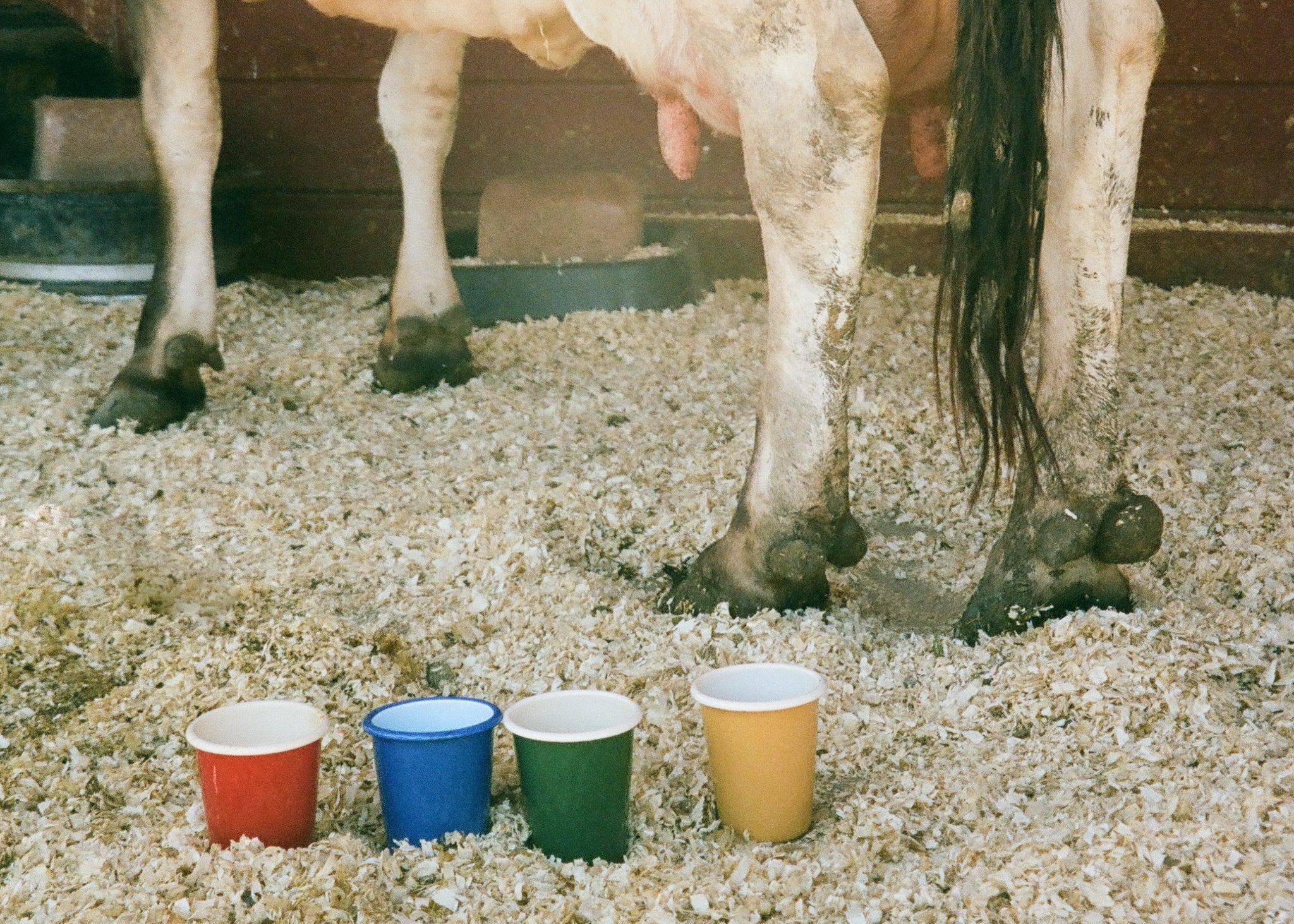 Enamel Cup - Image 4