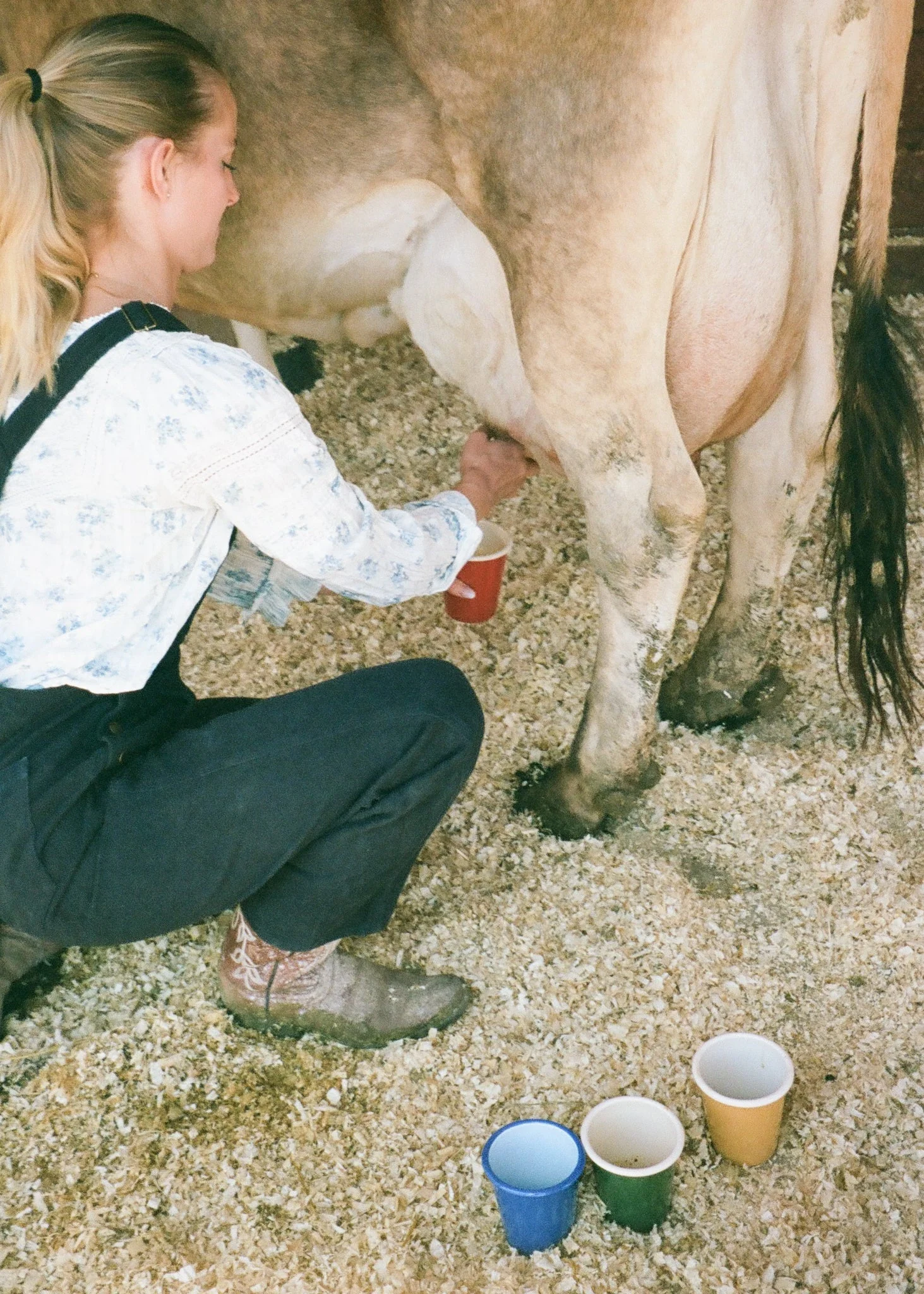 Enamel Cup - Image 5