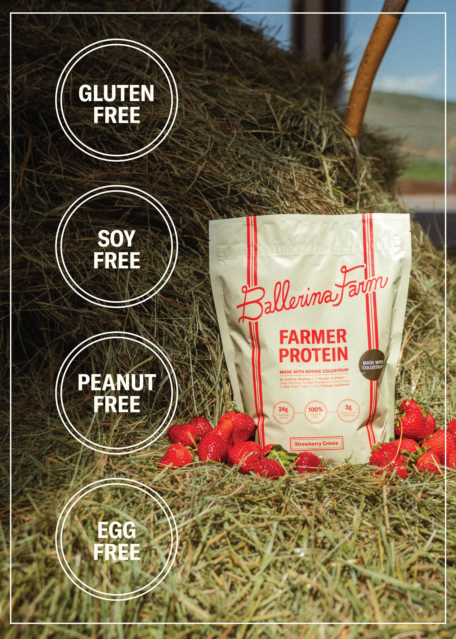 Farmer Protein Powder - Image 15