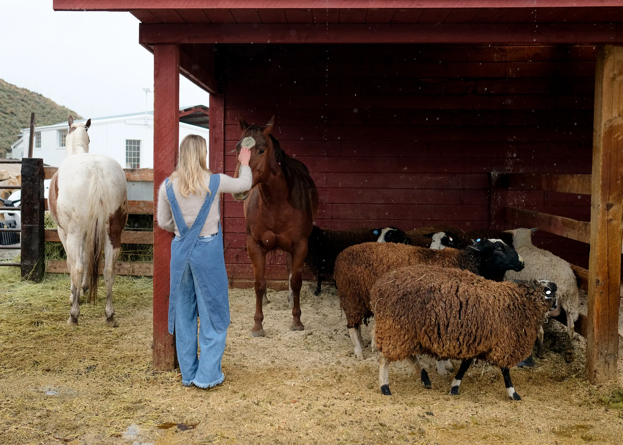 Adult Jour Apron - Image 6